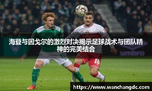 币游国际